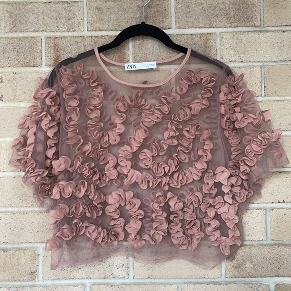 Zara Tops - Zara Blush Mesh Floral Applique Crop Top